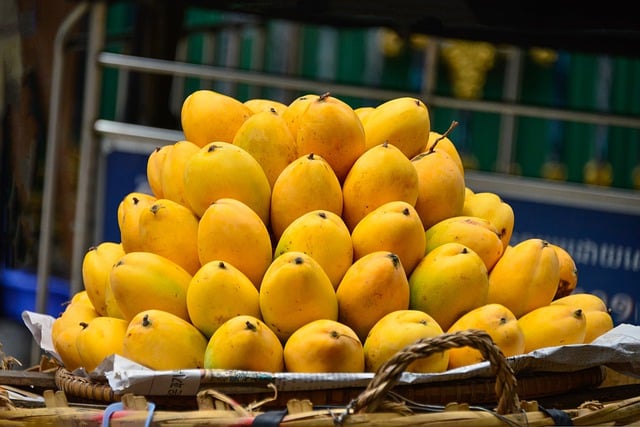 State fruit West Bengal