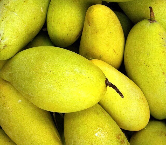 National fruit Andorra