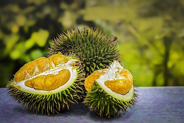 National fruit Indonesia